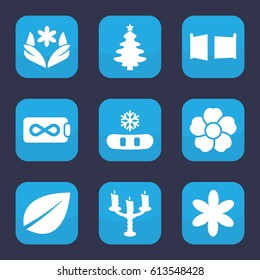 Ornament icon. set of 9 filled ornament icons such as flower, leaf, candlestick, gate, endless battery, snowflake
