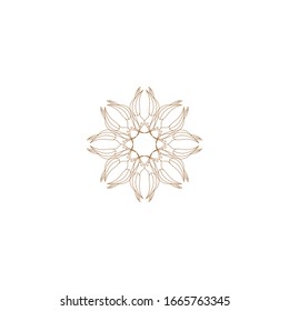Decoración de Vector de Plantilla de Diseño de Logotipo Ornament, Florece Las Elegantes Líneas de Marco Real Caligráficas. Buena opción para el reposo de lujo