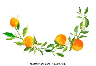 Ornament from orange branches and flowers, place for text, frame on a white background