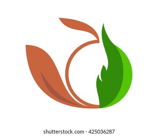 ornament pattern leaves leaf plant flora image icon vector 1