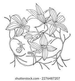 Ornamento, un patrón de flores silvestres de campanas, pintado al estilo de los garabatos. EPS vectorial 10.