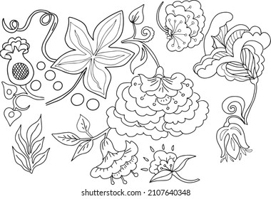
Ornament plant flowers leaves folk traditional hand drawn sketch doodle coloring book for kids