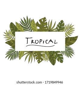 Ornament, rectangular frame border, hand drawn tropical or forest leaves with many shades of green, oval or ovoid type. Sketch inscription topical. Vector composition. Isolated white background