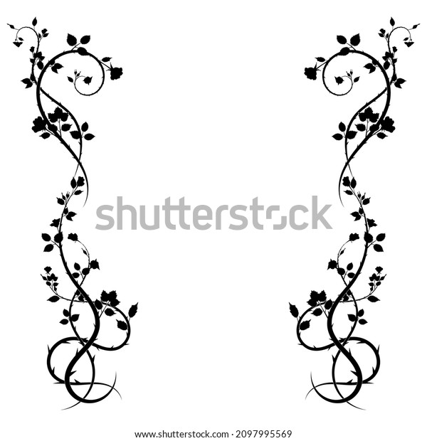 ornament rose climbing plant frame on white\
background. vector stock\
image