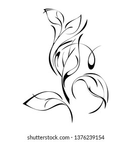 ornament in smooth black lines with leaves and curls on a white background