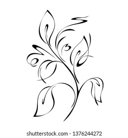 ornament in smooth black lines with leaves and curls on a white background