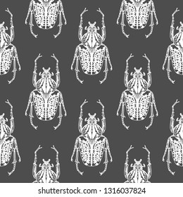 Ornament template for your design background. Hand drawn illustration pattern of beetle on a gray background. vector illustration.