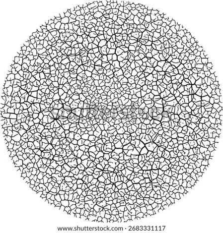 Ornament Vector Circular Abstract Crack Texture Style with Intricate Line Motifs Inspired by Aceh Batik Traditional Pattern