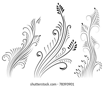 Ornament vector elements