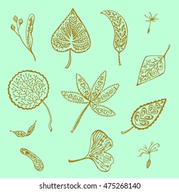 Ornamental autumn leafs collection. Vector illustration. 