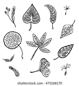 Ornamental autumn leafs collection. Vector illustration. 