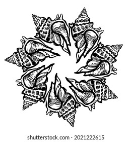 Ornamental black and white circle frame from seashell in black ink isolated on white. Amazing inhabitant of the seabed, cockleshell for logo, design element, icons, postcards. Vector illustration. 