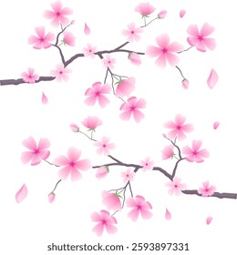 Ornamental border featuring sakura flowers. Floral art design suitable for greeting cards, banners, weddings. Editable vector illustration on white background