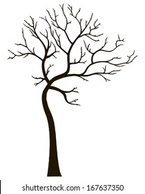 Ornamental deciduous tree without leaves. Vector illustration.