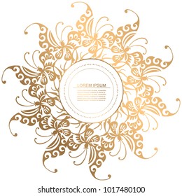 Ornamental decorative elements. Lace background with butterfly and place for text