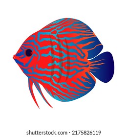 Ilustración de peces de disco ornamental. Pescado de agua dulce de amazon.