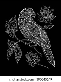 Ornamental exotic bird hand drawn. Line art. Black and white vector illustration. Parrot with fantasy flowers . T-shirt design print.