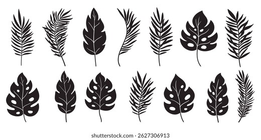 Ornamental exotic leaves silhouettes. Tropical leaves black silhouettes set isolated on white background for poster, print, invitation, cover design. Palm, banana, monstera, coconut leaves