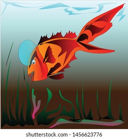 Ornamental fish with orange black gradations against the background of pond water, water base plants