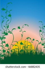 ornamental floral backgrounds