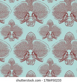 Patrón floral ornamental sin fisuras con flores de orquídeas tropicales exóticas. Diseño vectorial de color monocolor en color damasco sobre fondo blanco para crear textil, decoración doméstica, tela, impresión, afiche,