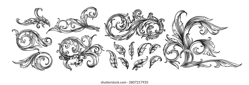 Ornamental flourish set vector on white background. Black vintage scrollwork with acanthus leaves, curved swirls, decorative feathers, and engraved line art.