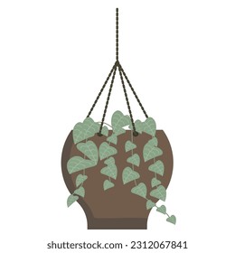 Ornamental Flower Plant Decoration in pots. indoor plant illustration
