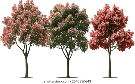 Ornamental flower trees group, vector isolate, blooming, nature, garden, decorative plants, spring season, vibrant, botanical, green leaves, fresh flowers, natural beauty
