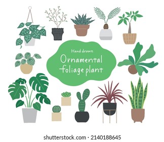 Ornamental foliage plants icons set
