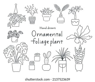 Ornamental foliage plants pen drawing