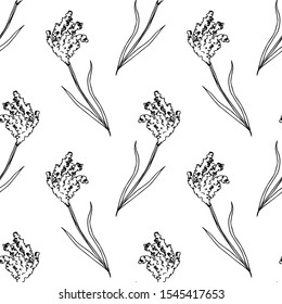 Ornamental grass. Seamless pattern. Vector illustration.