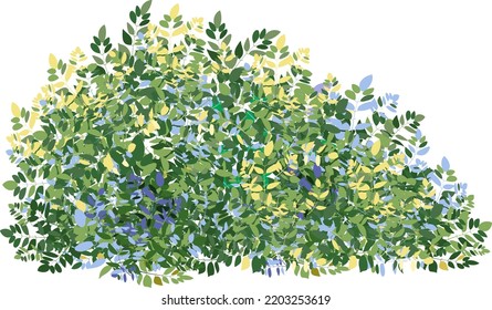 Ornamental green plant in the form of a hedge.Realistic garden shrub, seasonal bush, boxwood, tree crown bush foliage.For decorate of a park, a garden or a green fence.
