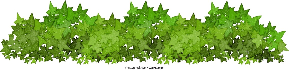  Ornamental green plant in the form of a hedge.Realistic garden shrub, seasonal bush, boxwood, tree crown bush foliage.For decorate of a park, a garden or a green fence.
