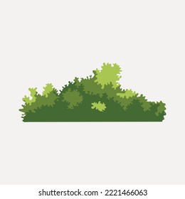 Ornamental green plant in the form of a hedge.Realistic garden shrub, seasonal bush, boxwood, tree crown bush foliage.