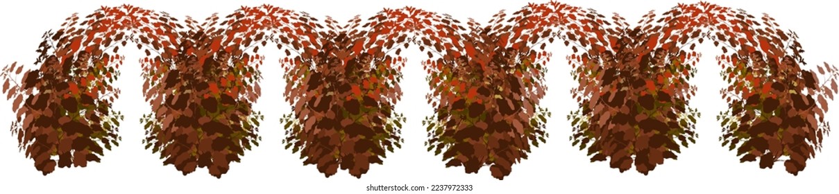  Ornamental green plant in the form of a hedge.Realistic garden shrub, seasonal bush, boxwood, tree crown bush foliage.For decorate of a park, a garden or a green fence.
