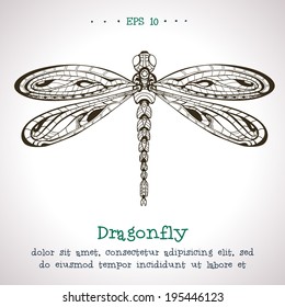 Ornamental hand drawn vintage vector Dragonfly.