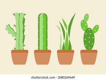 Ornamental house plant green set collections cactus in pot flat vector design.
