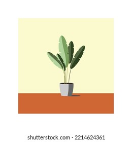ornamental house plant vector in a gray pot