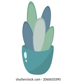 Ornamental houseplant in a blue pot. Adult sansevier or other succulent, leaves are large. Isolated vector illustrations for decorating postcards, interior templates. Flat style, delicate shades.
