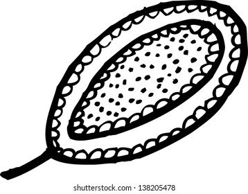 Ornamental Leaf. Hand-drawn illustration.