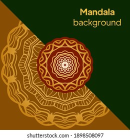 Ornamental mandala inspired ethnic art. Vector illustration.