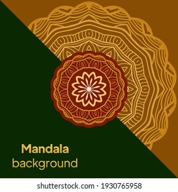 Ornamental mandala inspired ethnic art. Vector illustration.
