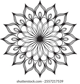 Ornamental Mandala Pattern with Intricate Details