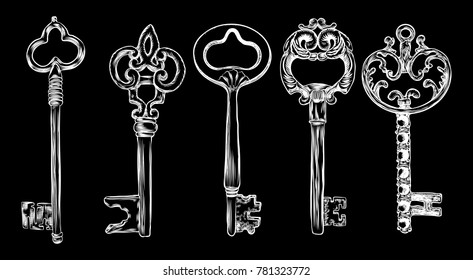 Ornamental medieval vintage keys set with intricate design, Victorian leaf scrolls and hand drawn heart shaped swirls,  composed of flower-de-luce shapes.  Vector.