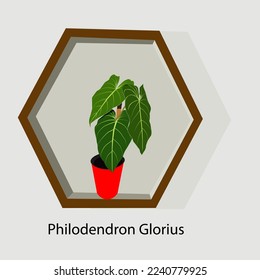 Ornamental plant Philodendron Gloriosum vector illustration