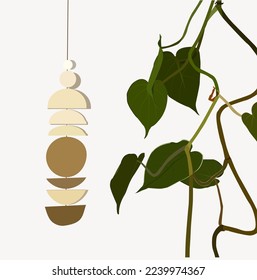 Ornamental plant philodendron hederaceum Vector illustration design