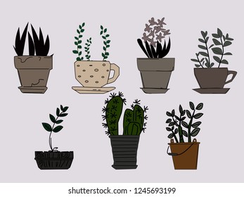 ornamental plant vector