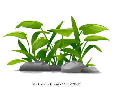 Ornamental Plants Composition Illustration