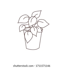 Ornamental plants for corners of the house or in the corner of the workspace at home vector illustration, line art vector