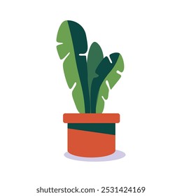 ornamental plants flat vector elements
